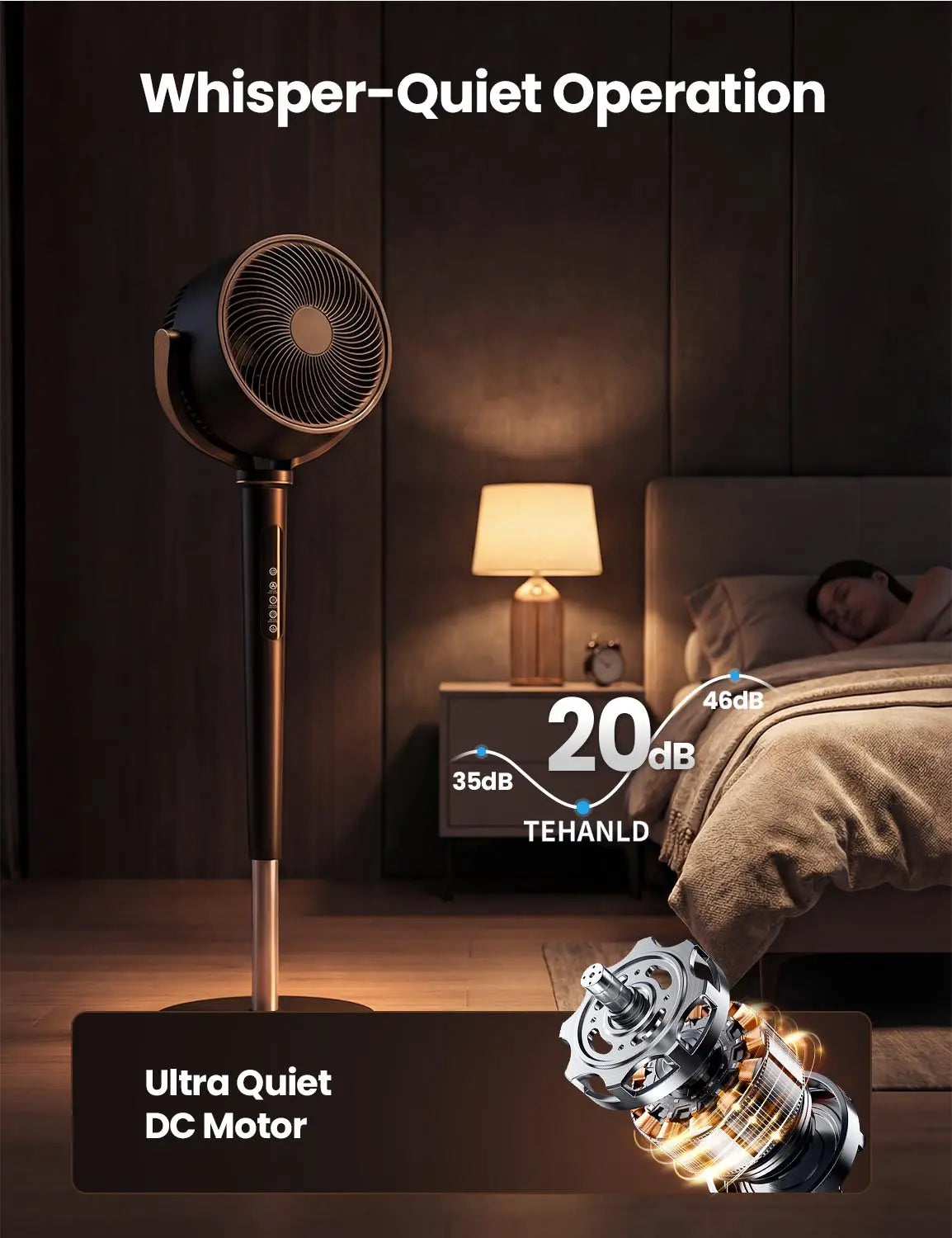 Fan - Gallery Image 1